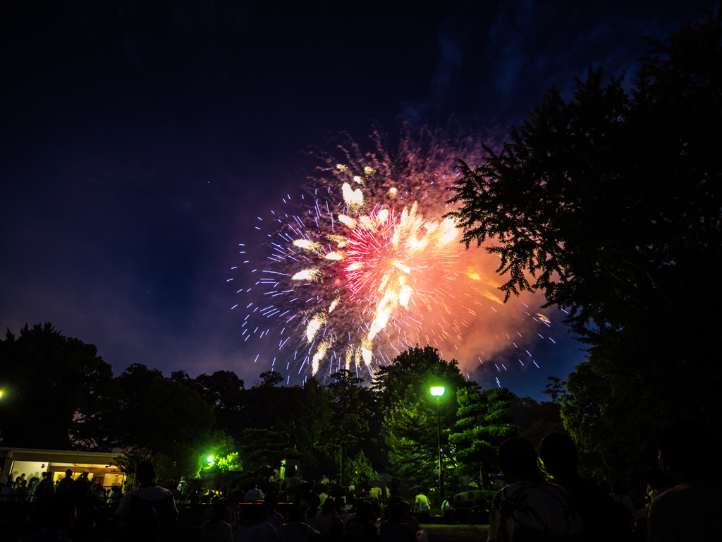 岡崎花火大会 岡崎公園内