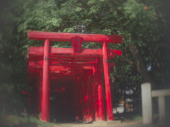 赤鳥居