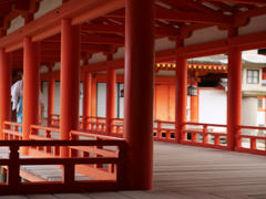 厳島神社 静かな朝