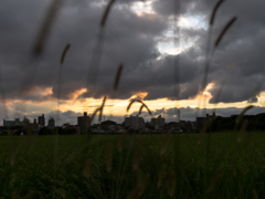 夏から秋への夕暮れ