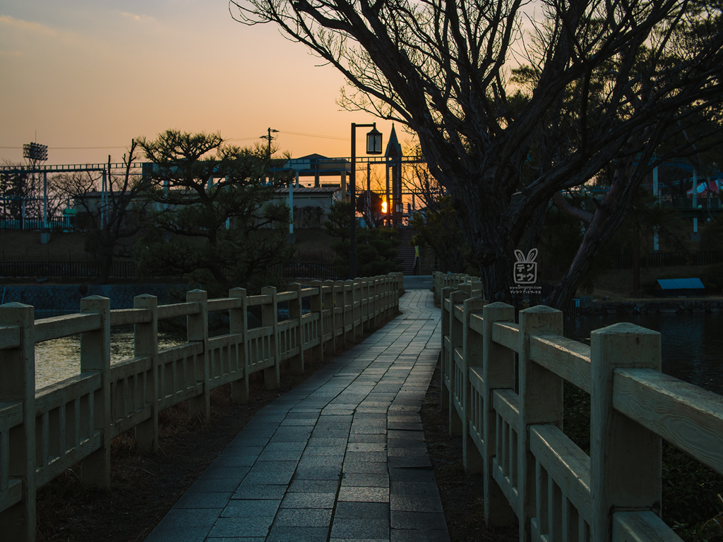 夕暮れ