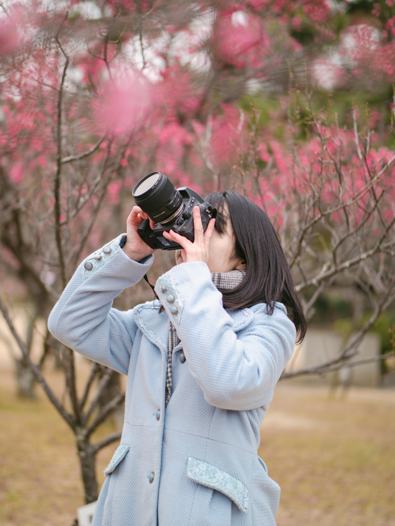 梅の花を撮りに