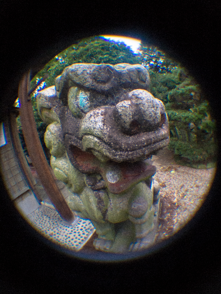 狛犬 ”阿”