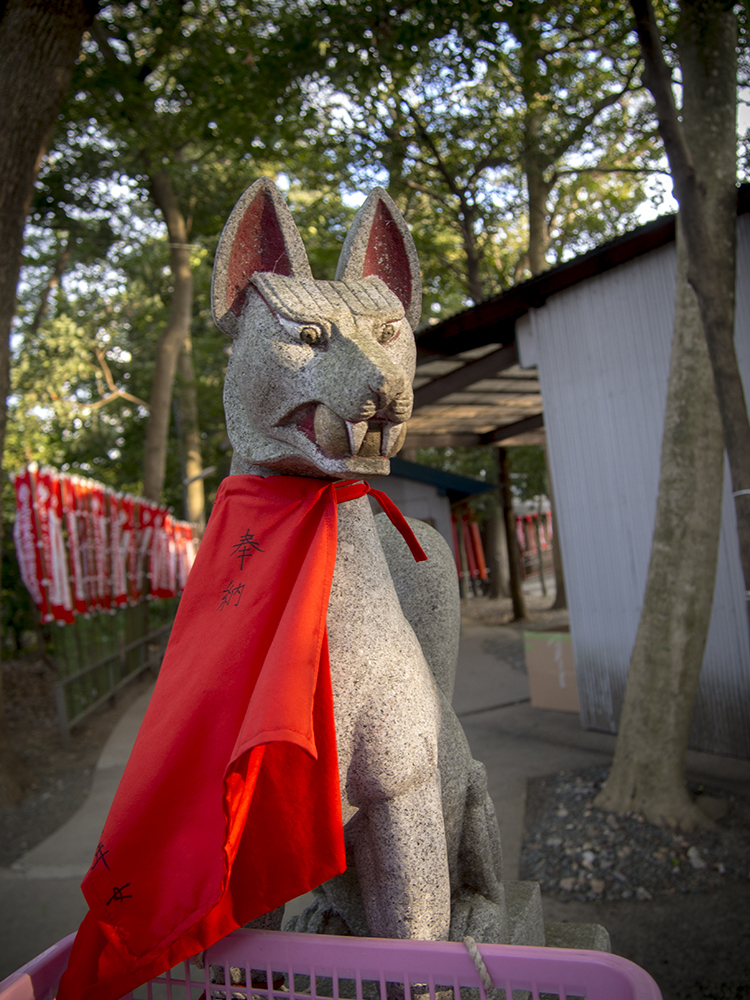 お狐様。