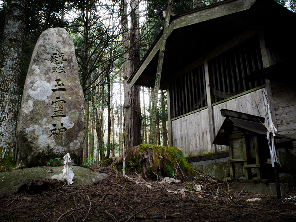 見た事無い漢字や・・・