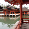 厳島神社　昼頃