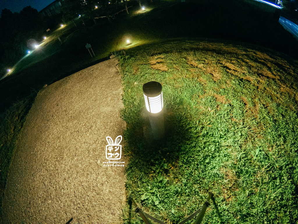 Light