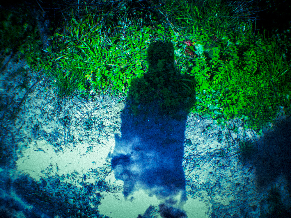 SHADOW & CLOUD