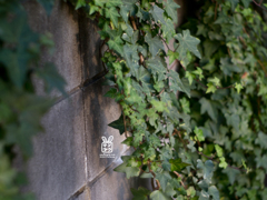 レビュワーが撮りがちなやつ