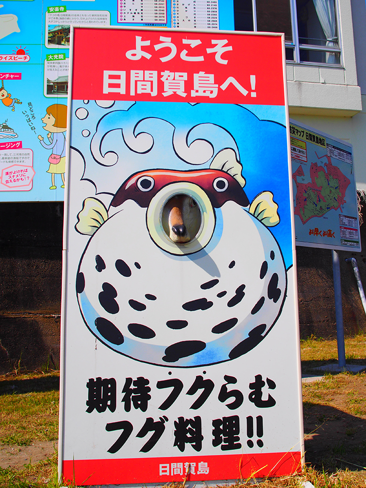 期待フクらむ！！