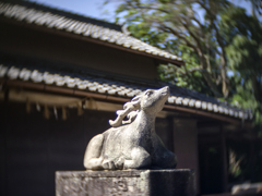 狛鹿