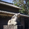 狛鹿
