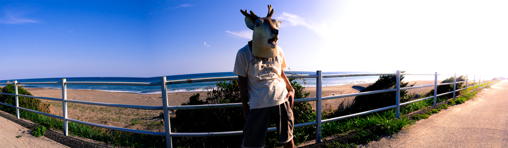 海沿いのサイクリングロード