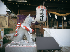 伊奴神社 犬の王