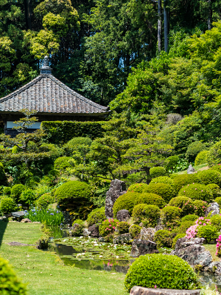 龍潭寺 庭