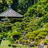 龍潭寺 庭