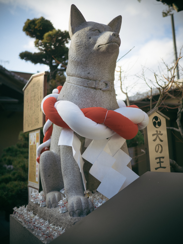 伊奴神社　犬の王 前