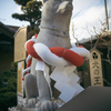 伊奴神社　犬の王 前