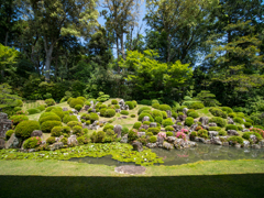 龍潭寺 日本庭園