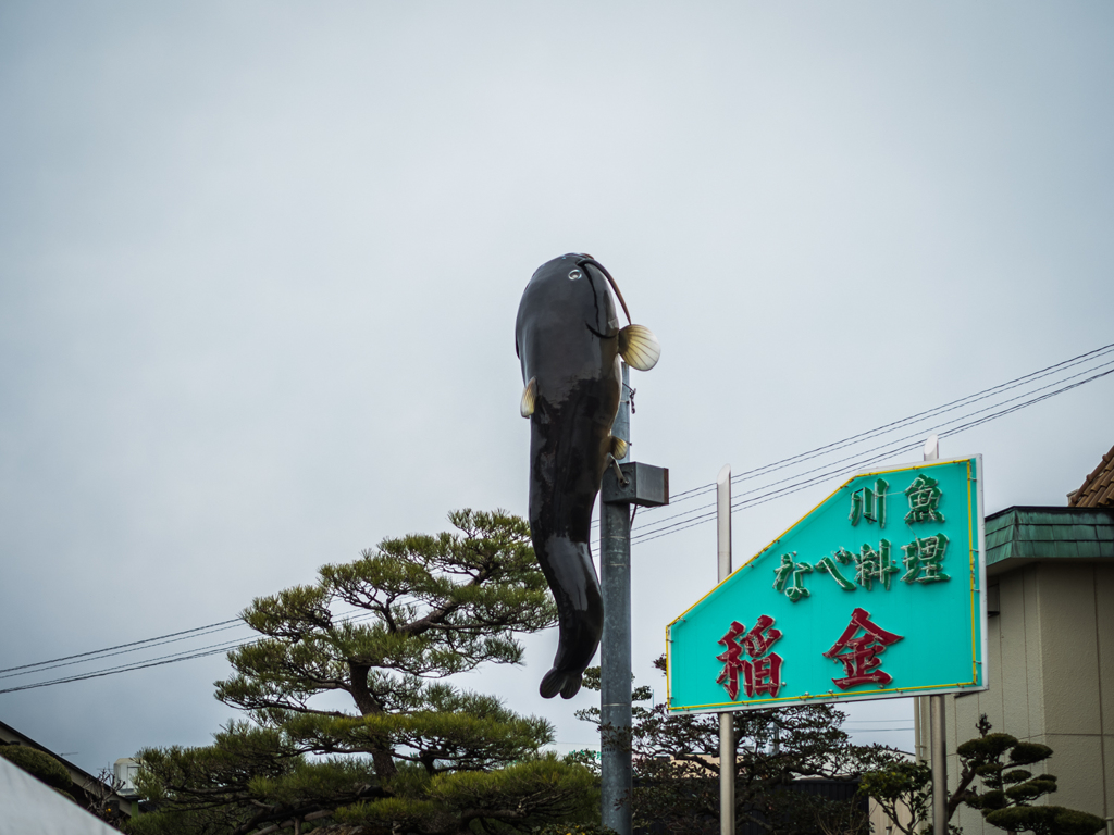 なまず