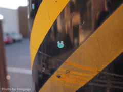 かわいい( ´ ▽ ` )ﾉ 