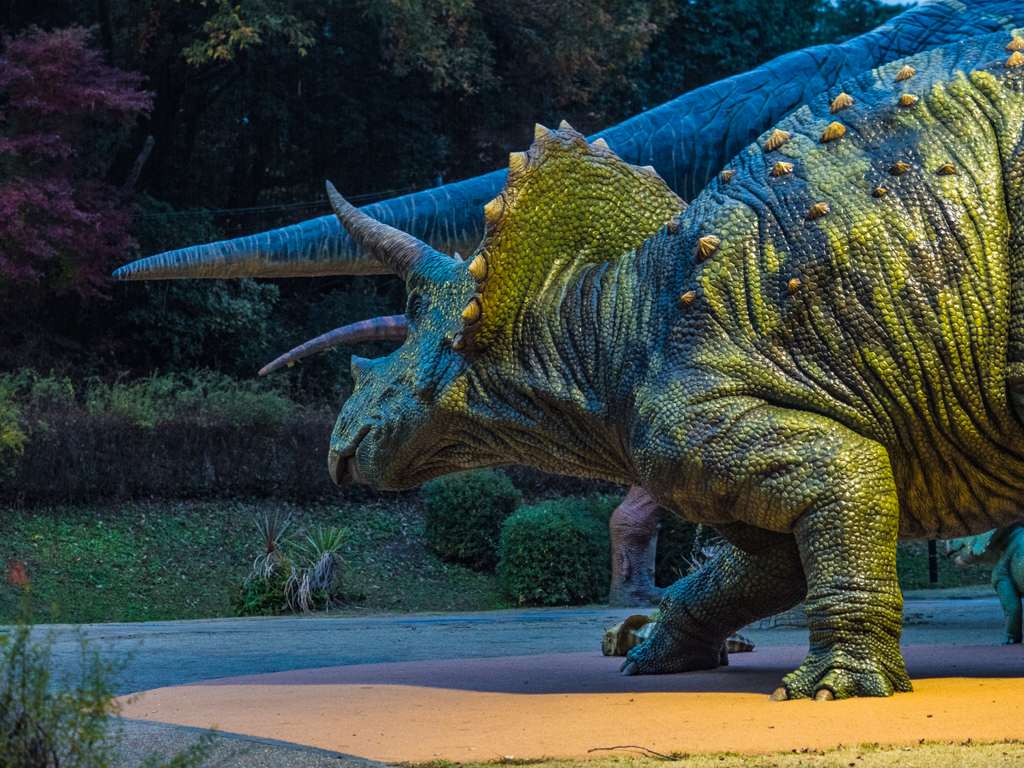 サイドトリケラ