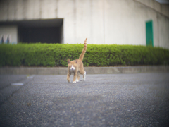 こいつ、もっと可愛かったんだけどなぁ・・・