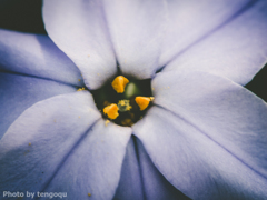 寄れるだけ寄ってみる