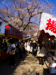 桜まつりの賑わい