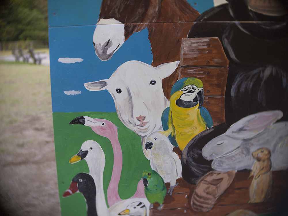 このヒツジが特に気になる・・・