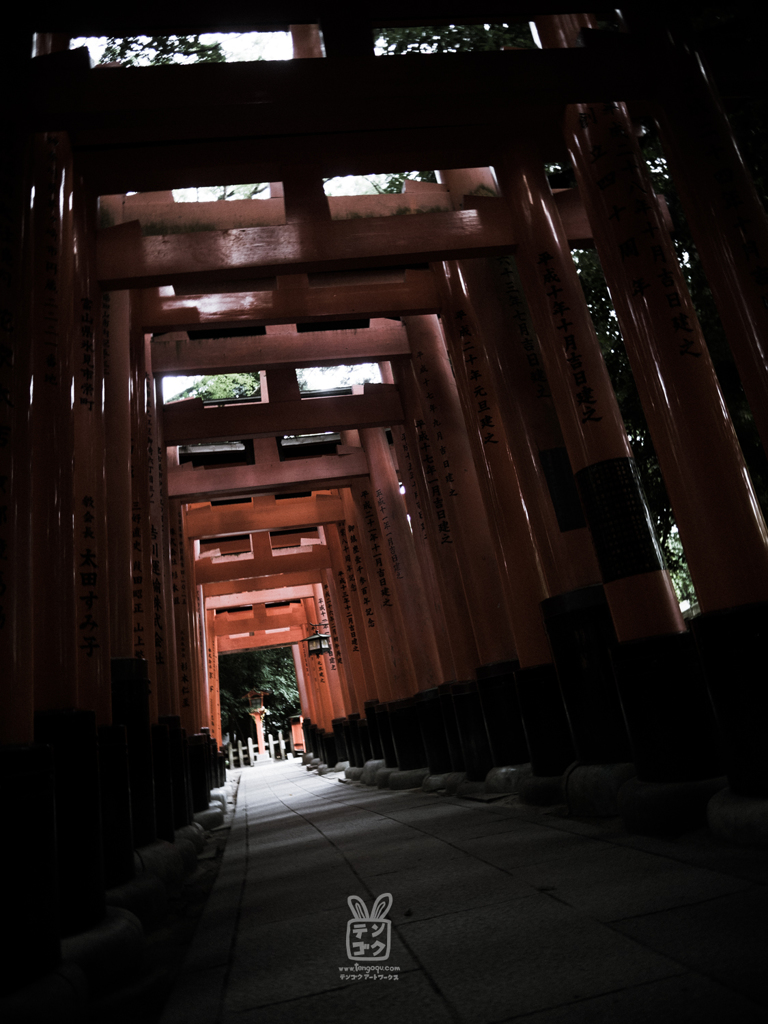 千本鳥居 影