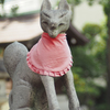 口あけ狐