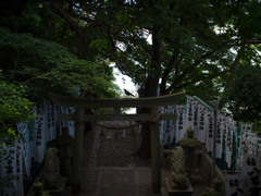 鳥居