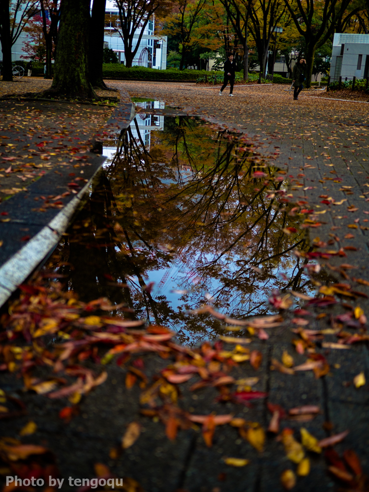 雨後