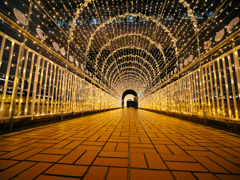 豊田駅前光のトンネル