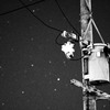 星玉ボケと電柱とラフモノクローム