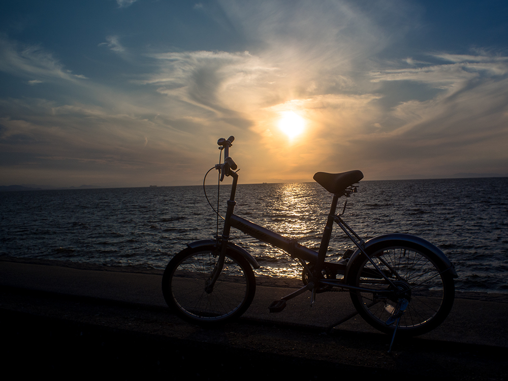 サンセット自転車