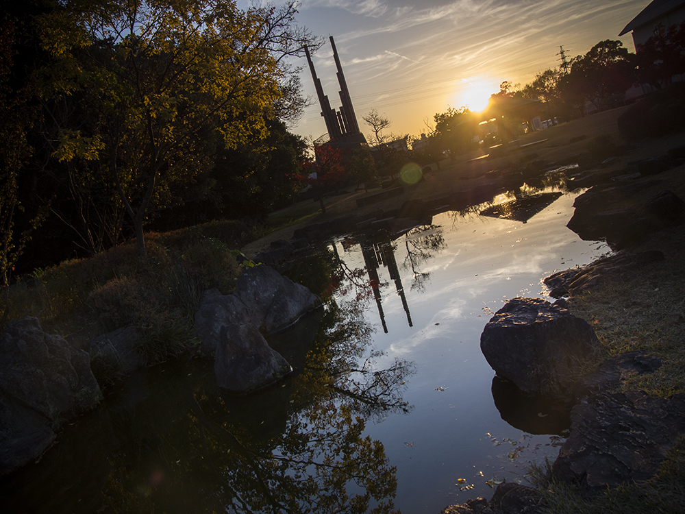 そんな良くはならないと思ったが、撮るだけ撮ってみるもんだなぁ