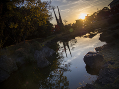そんな良くはならないと思ったが、撮るだけ撮ってみるもんだなぁ