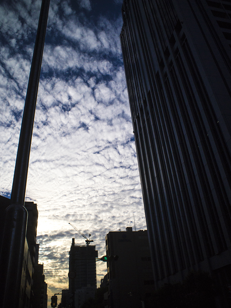 都会から見えた鱗雲