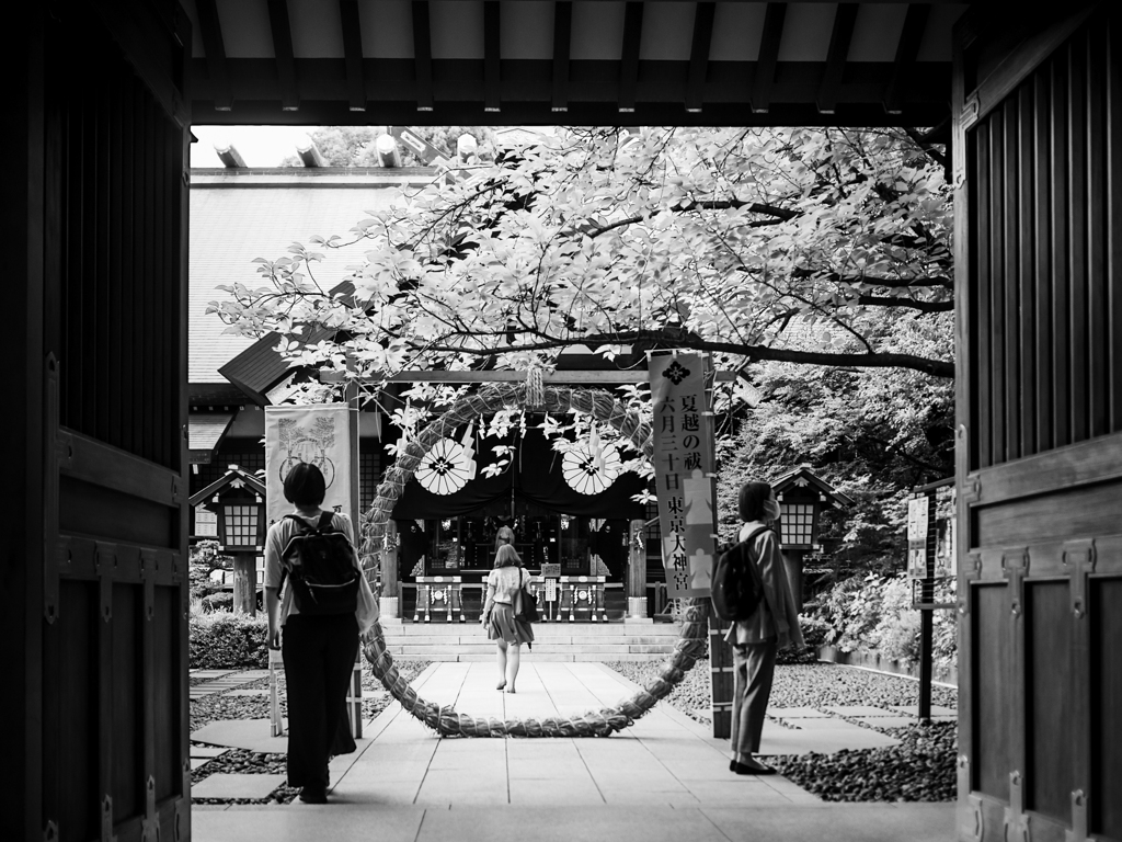 東京大神宮 茅の輪くぐり