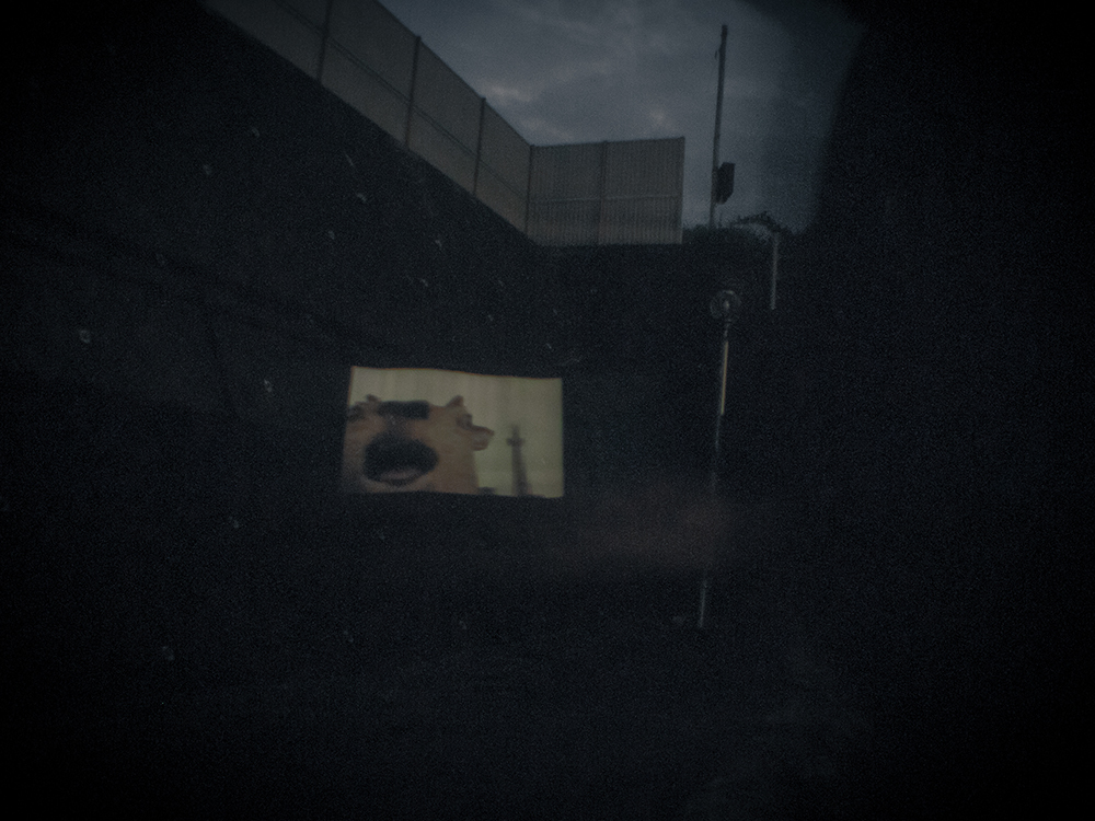 Float Vision