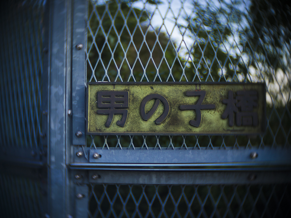 男の子橋
