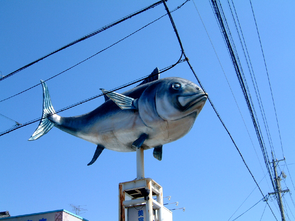 魚看板。