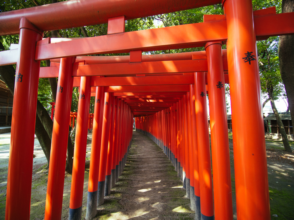 連鳥居