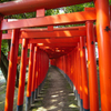 連鳥居