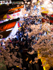 桜のお祭りの賑わい１