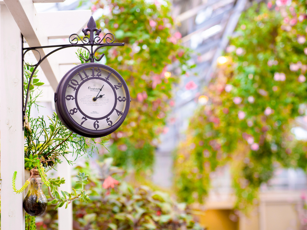 ガーデン時計