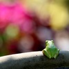都会の喧騒