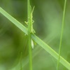 かくれんぼ